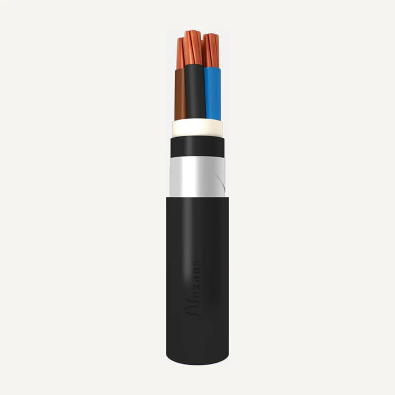Illustration de gamme — CBDR24081163 — Câble rvfv 4*16MM IM