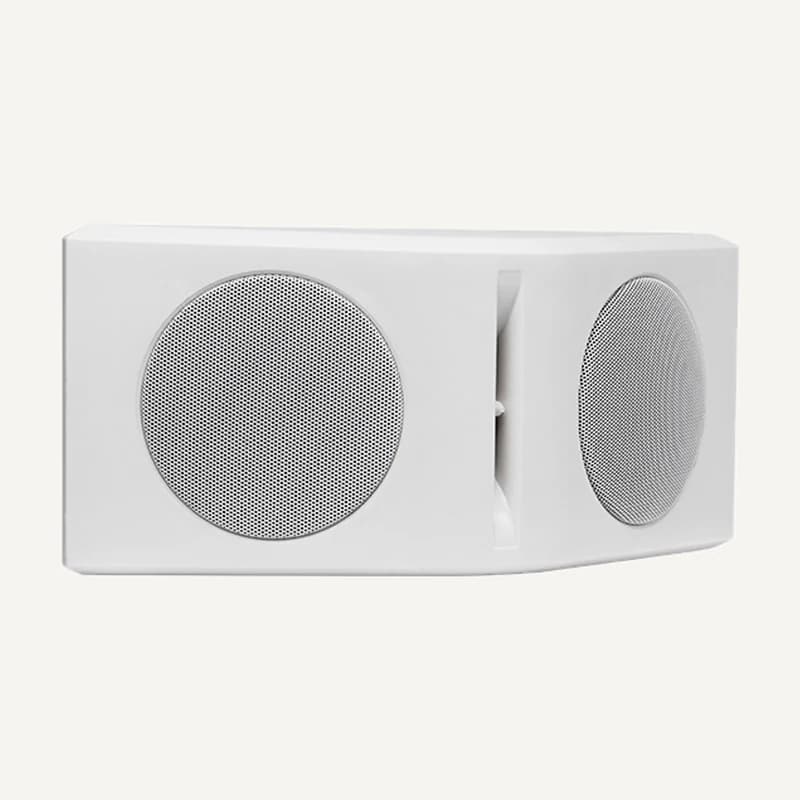 D-DSP2601 — Haut-parleur mural etanche 20W