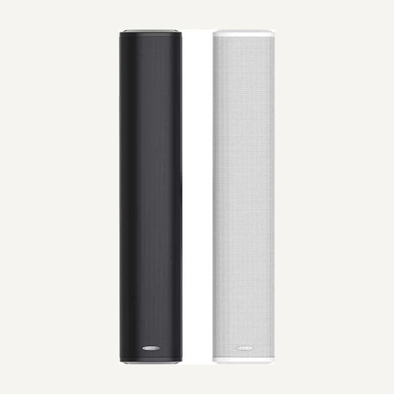 D-DSP455II — DSP455II Outdoor Waterproof Column Speaker