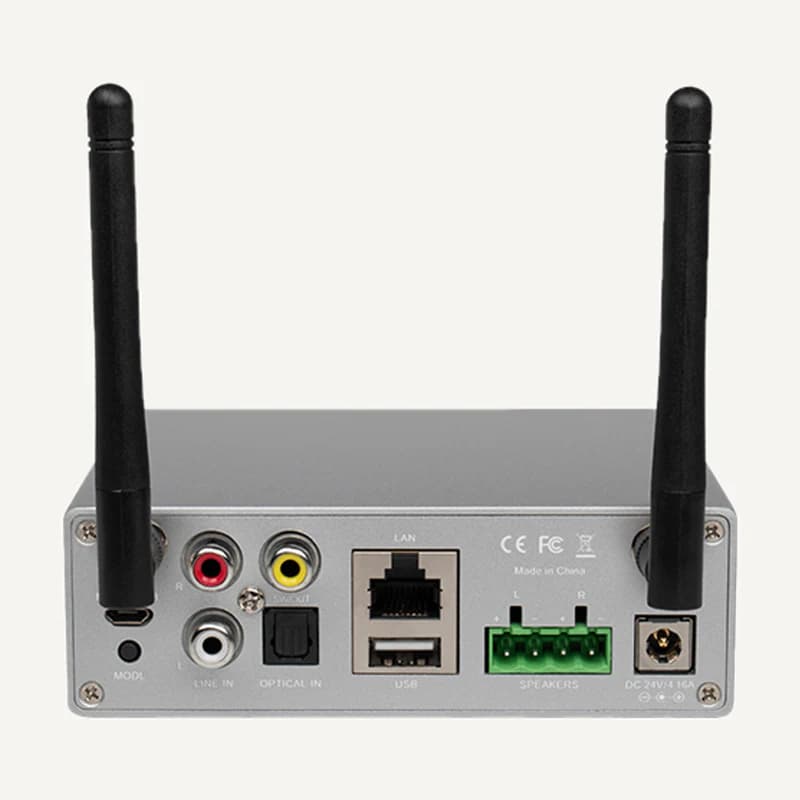 D-DW0250 — Amplificateur WIFI intelligent stereo 2*35W