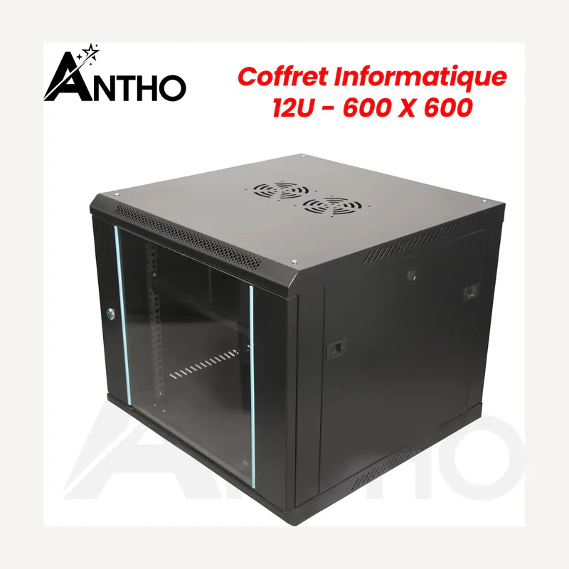 Armoire informatique 12U 600*600