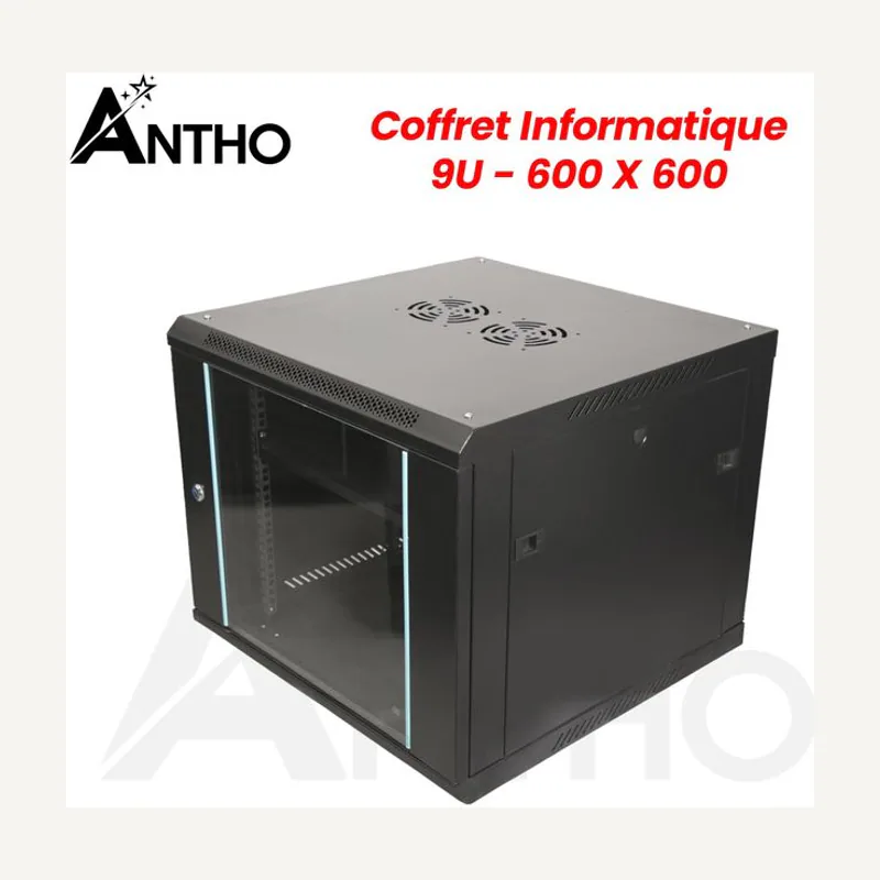Armoire informatique 9U 600*600 smart link