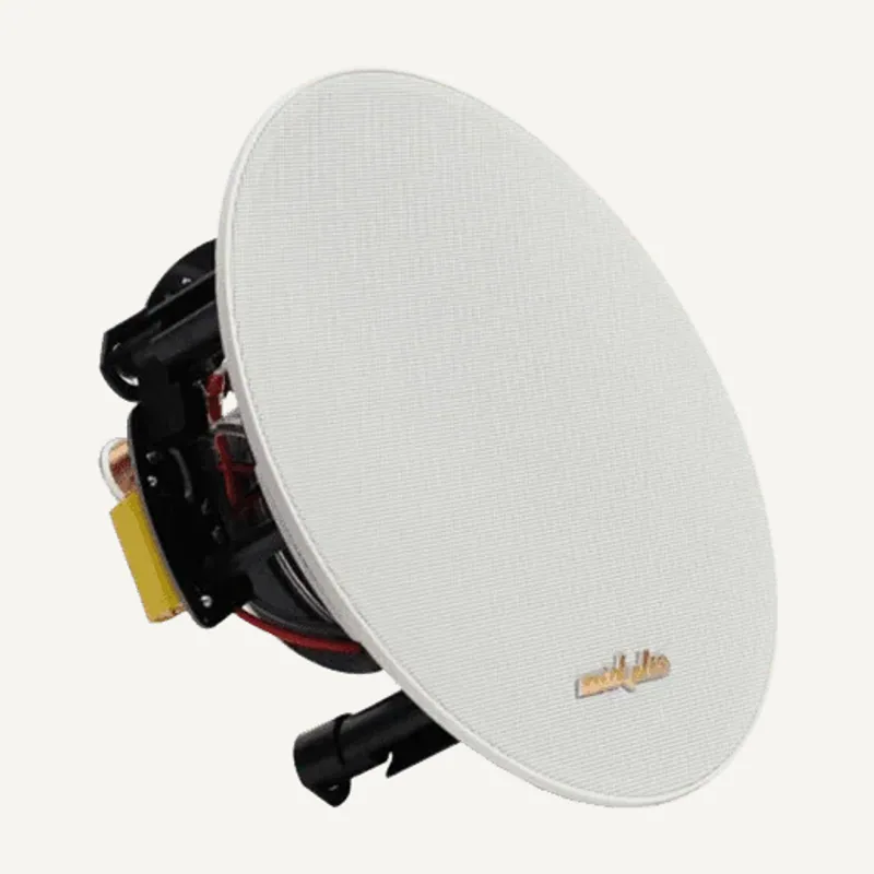 DSPPA Haut-parleur plafonier coaxial stereo 20W