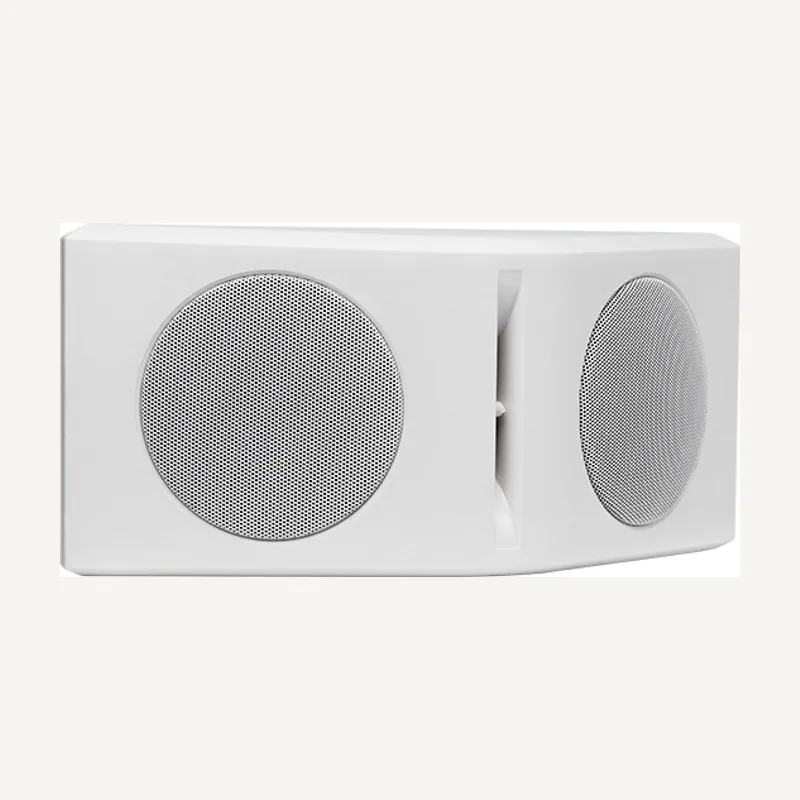 DSPPA Haut-parleur mural etanche 20W