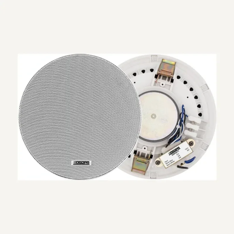 DSPPA DSP6011 6.5 Inch Frameless Ceiling Speaker