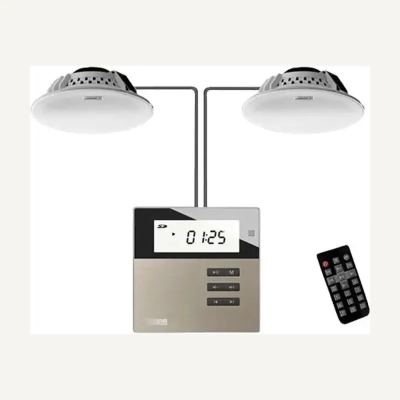 DSPPA Mini amplificateur 2X10W FM/USB/SD/BT avec 2 haut-parls