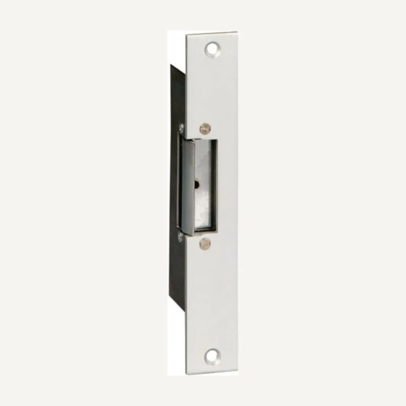 Gache électrique 12V alcad
