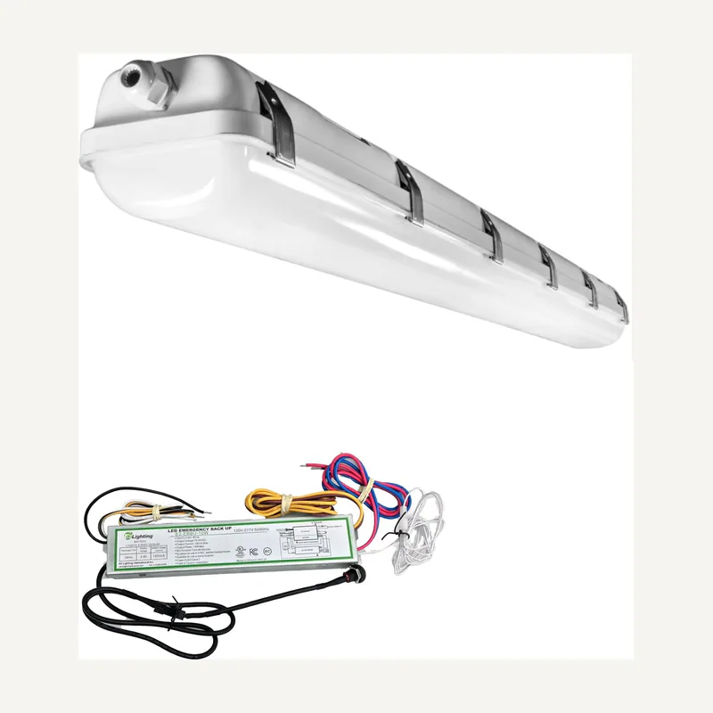 Proj.a LED 50W L.B IP65 noir PR2LED050