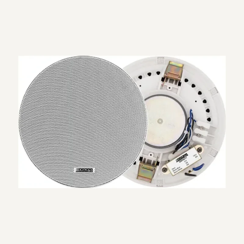 D-DSP6011 — DSP6011 6.5 Inch Frameless Ceiling Speaker
